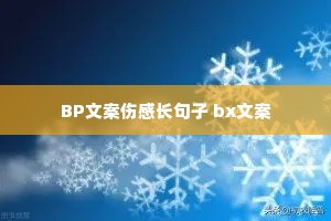 BP�İ��˸г����� bx�İ�