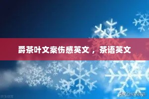 爵茶叶文案伤感英文 ,茶语英文 爵茶叶文案伤感英文 ,茶语英文
