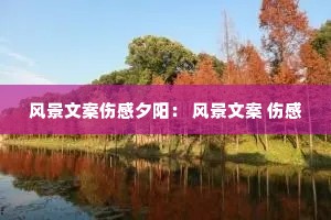 �羰�İ��˸�Ϧ���� �羰�İ� �˸�