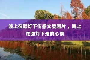 ������·�����˸��İ�ͼƬ ��������·�����ߵ�����