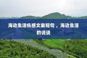 ���������˸��İ��̾� �����������˵˵