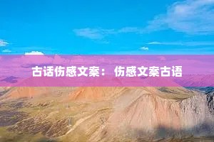 �Ż��˸��İ��� �˸��İ�����