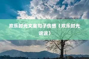 ����ʱ���İ������˸У�����ʱ��˵˵��