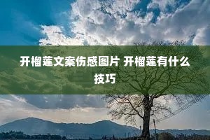 �������İ��˸�ͼƬ ��������ʲô����