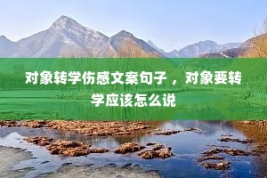 ����תѧ�˸��İ����� ������ҪתѧӦ����ô˵