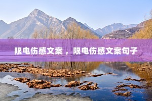 �޵��˸��İ� ���޵��˸��İ�����