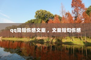 qq����˸��İ� ���İ��̾��˸�