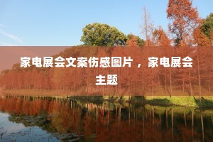 �ҵ�չ���İ��˸�ͼƬ ���ҵ�չ������