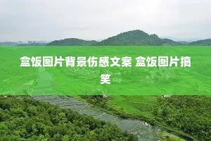 盒饭图片背景伤感文案 盒饭图片搞笑 盒饭图片背景伤感文案 盒饭图片搞笑