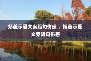 ����ʾ���İ��̾��˸� ������ʾ���İ��̾��˸�