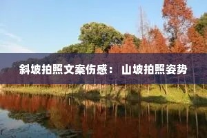 б�������İ��˸У� ɽ����������