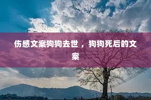 伤感文案狗狗去世 ,狗狗死后的文案 伤感文案狗狗去世 ,狗狗死后的文案