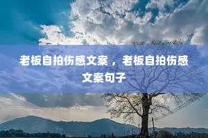 老板自拍伤感文案 ,老板自拍伤感文案句子 老板自拍伤感文案 ,老板自拍伤感文案句子