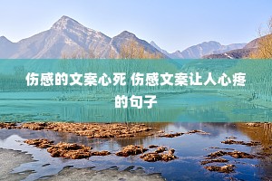 �˸е��İ����� �˸��İ��������۵ľ���