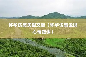 �����˸�ʧ���İ��������˸�˵˵������