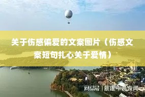 �����˸�ƫ�����İ�ͼƬ���˸��İ��̾����Ĺ��ڰ��飩