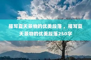 д쾰 д쾰250