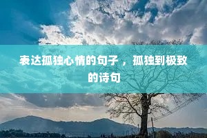 表达孤独心情的句子 ,孤独到极致的诗句 表达孤独心情的句子 ,孤独到极致的诗句