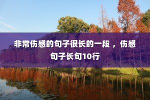 �ǳ��˸еľ��Ӻܳ���һ�� ���˸о��ӳ���10��