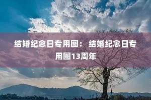 结婚纪念日专用图: 结婚纪念日专用图13周年 结婚纪念日专用图: 结婚纪念日专用图13周年