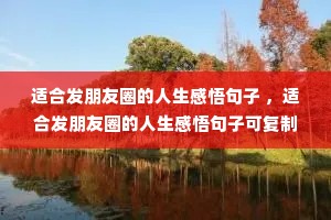 �ʺϷ�����Ȧ������������� ���ʺϷ�����Ȧ������������ӿɸ���