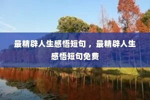 最精辟人生感悟短句 ,最精辟人生感悟短句免费 最精辟人生感悟短句 ,最精辟人生感悟短句免费