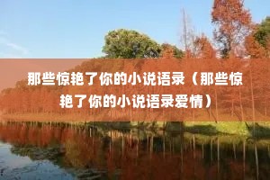 ��Щ���������С˵��¼����Щ���������С˵��¼���飩