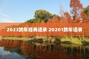 2023跨年经典语录 20201跨年语录 2023跨年经典语录 20201跨年语录