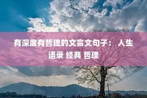 ������������������ľ��ӣ� ������¼ ���� ����