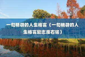 һ�侫�ٵ��������ԣ�һ�侫�ٵ�����������־��������