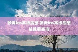 ŷins߼ʸ ŷins߼ʸͷи