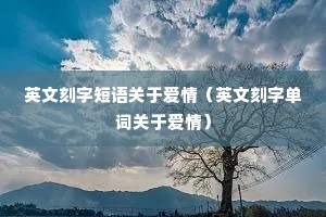 ӢĿֶڰ飨ӢĿֵʹڰ飩