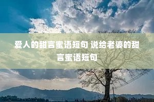 ˵̾ ˵ŵ̾