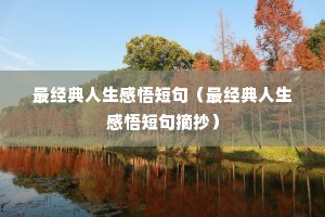 ̾䣨̾ժ