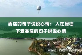 ί���ľ���˵˵���飺 ������������ί���ľ���˵˵����