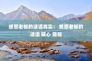 �ж��ϰ�Ļ�����ʵ�� �ж��ϰ�Ļ��� ů�� ���