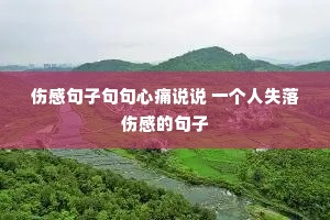 伤感句子句句心痛说说 一个人失落伤感的句子 伤感句子句句心痛说说 一个人失落伤感的句子