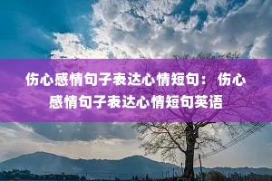 ���ĸ�����ӱ�������̾䣺 ���ĸ�����ӱ�������̾�Ӣ��